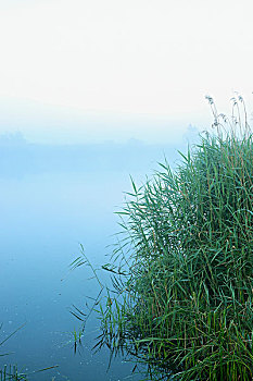 soi cau kep
