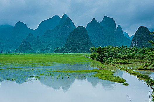 soi cau bach thu lo khung 3 ngay