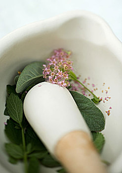 xổ số thứ bảy hàng tuần