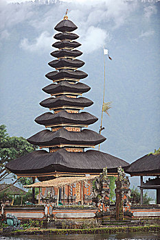 soi cau 666 rong bach kim