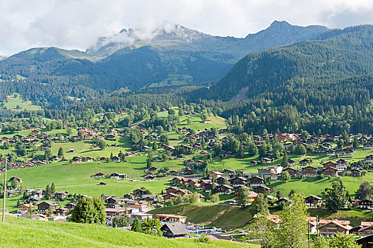 cau gio vang
